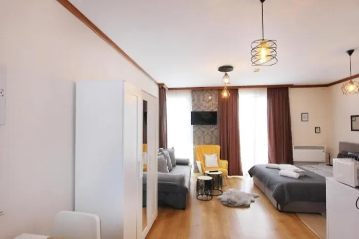 Luxury Ivana 公寓 *